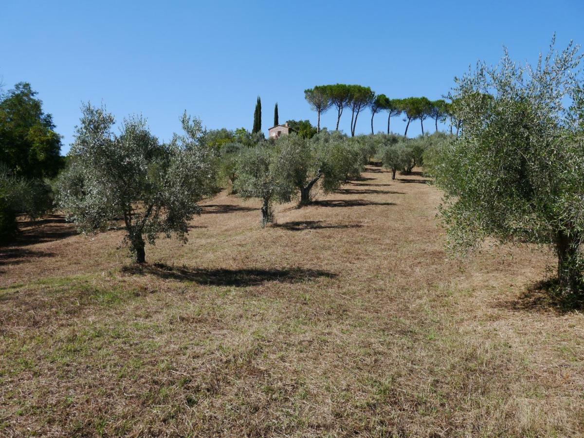 Ferienhaus Il-Pino Villa Roccastrada Buitenkant foto