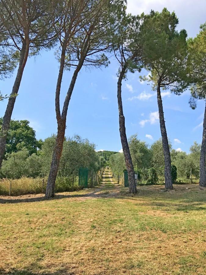 Ferienhaus Il-Pino Villa Roccastrada Buitenkant foto